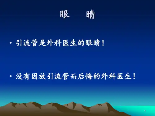 引流管PPT课件