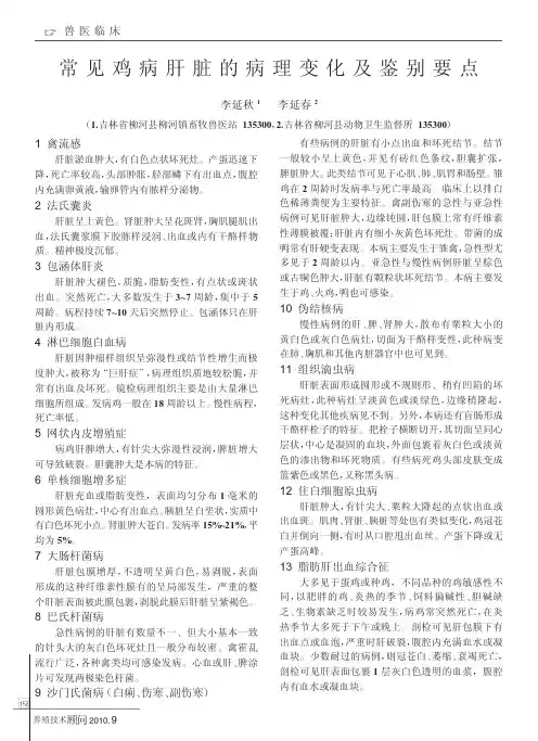 常见鸡病肝脏的病理变化及鉴别要点