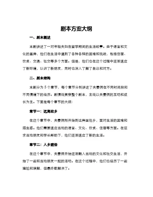 剧本方案大纲