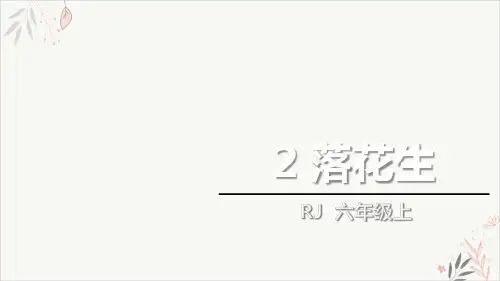 落花生ppt课件(完美版)优质课件
