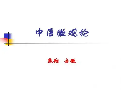 中医微观论