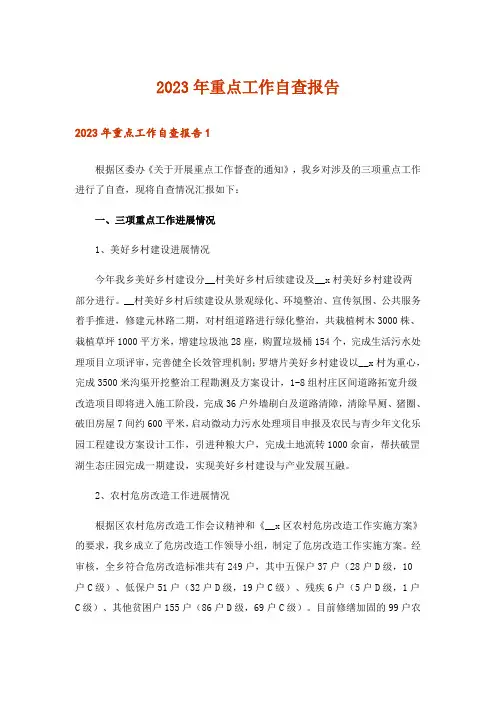 2023年重点工作自查报告