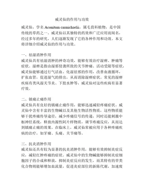 威灵仙的作用与功效
