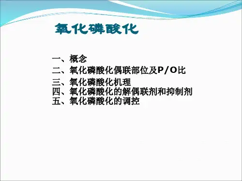 氧化磷酸化【BBy】