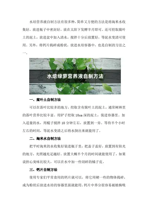 水培绿萝营养液自制方法