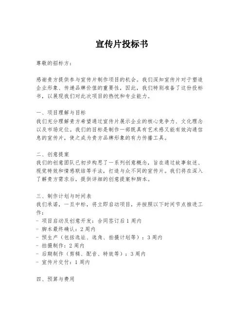 宣传片投标书