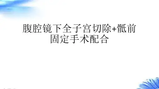 腹腔镜下全子宫切除 骶前固定术配合