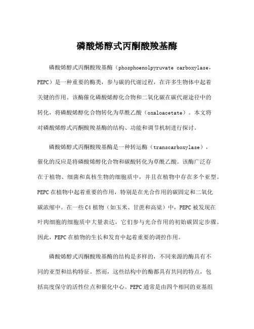磷酸烯醇式丙酮酸羧基酶