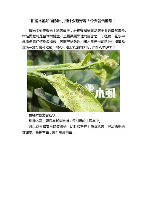 柑橘木虱如何防治，用什么药好呢？今天就告诉您！