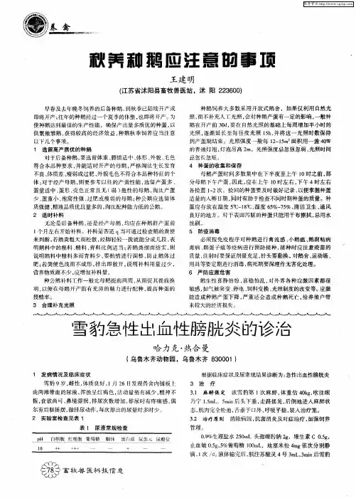 雪豹急性出血性膀胱炎的诊治