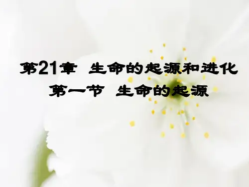 生命的起源课件(北师大版)