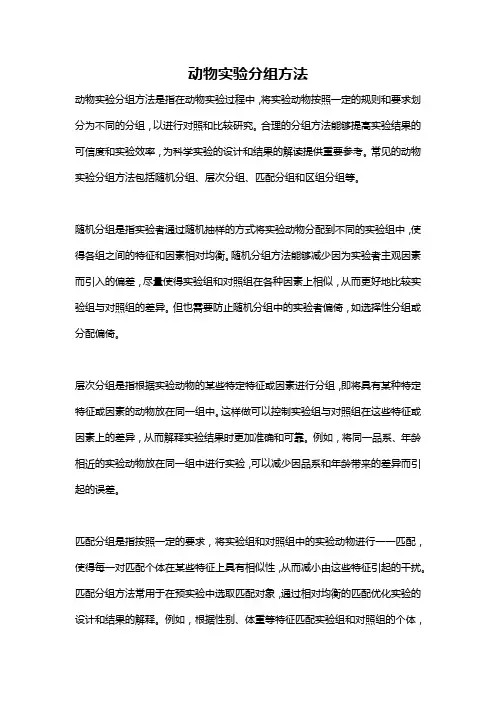 动物实验分组方法