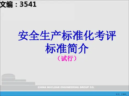 安全生产标准化评审标准(试行)