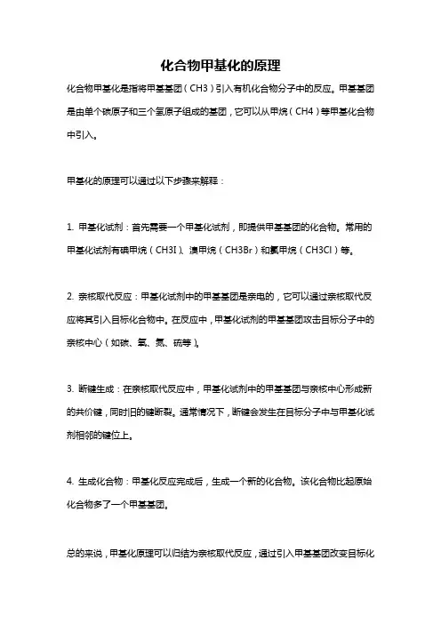 化合物甲基化的原理