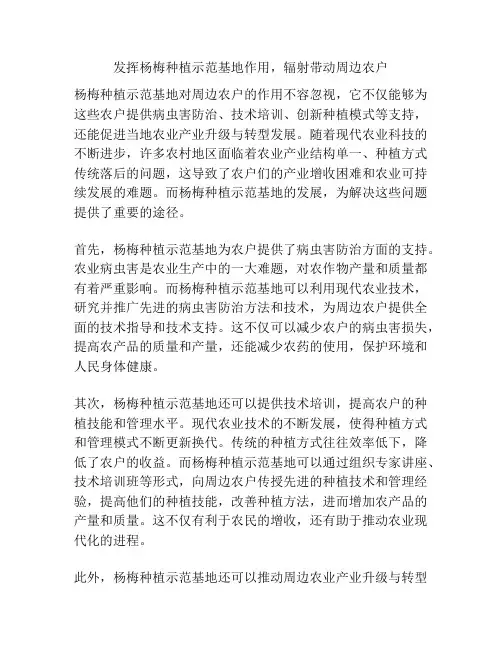 发挥杨梅种植示范基地作用,辐射带动周边农户
