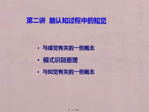 脑认知原理——脑与认知-知觉