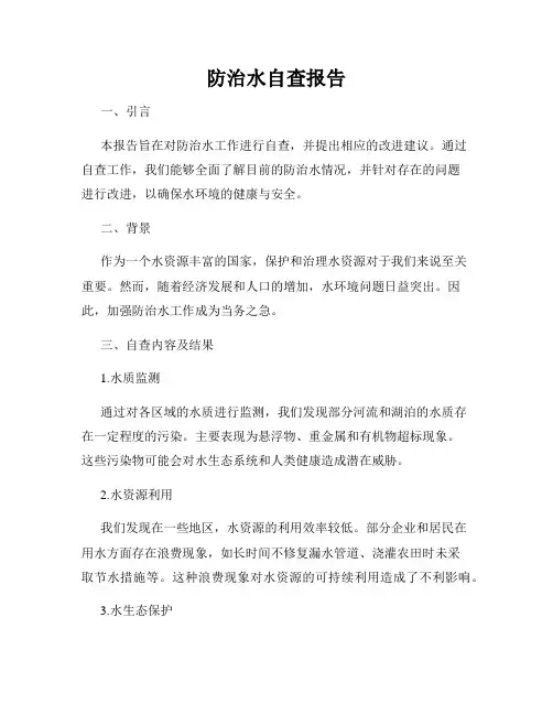 防治水自查报告