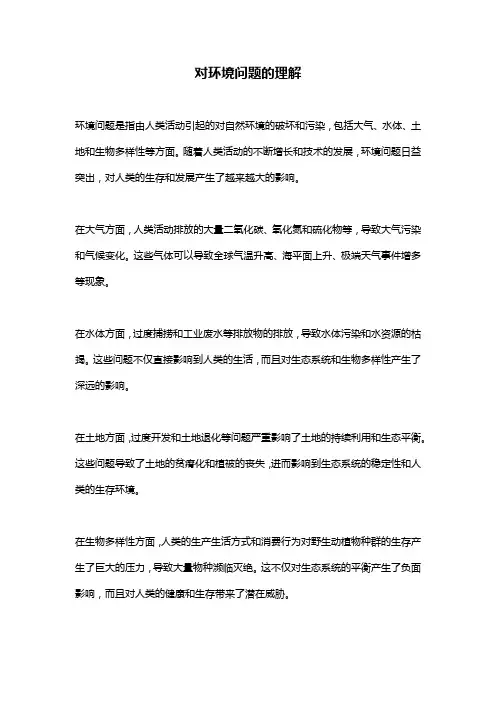 对环境问题的理解