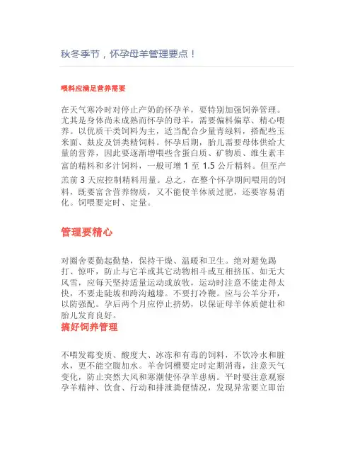 【养羊】秋冬季节,怀孕母羊管理要点