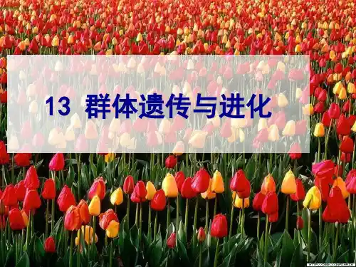12第十二章 群体遗传与进化