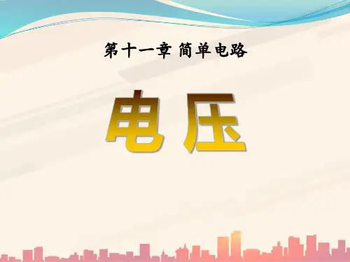 九年级物理全册 第十一章 第五节 电压课件1 (新版)北师大版