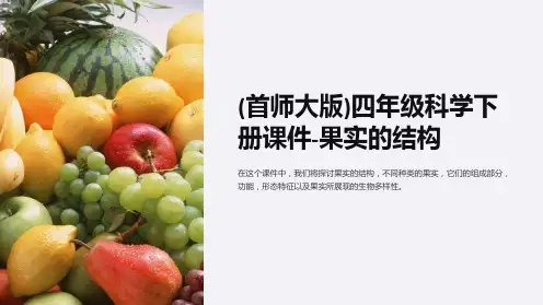 (首师大版)四年级科学下册课件-果实的结构