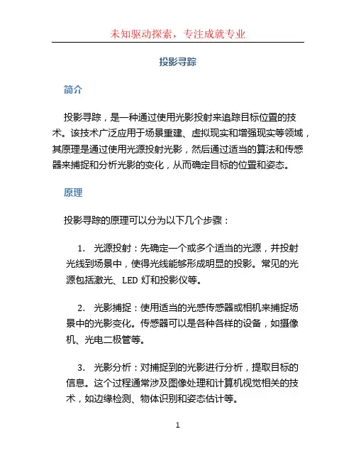 投影寻踪文档