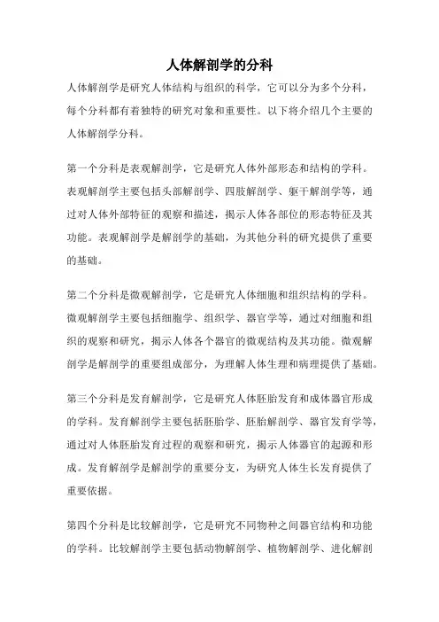 人体解剖学的分科