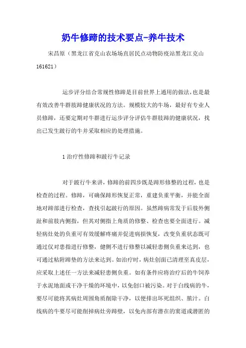 奶牛修蹄的技术要点 - 养牛技术