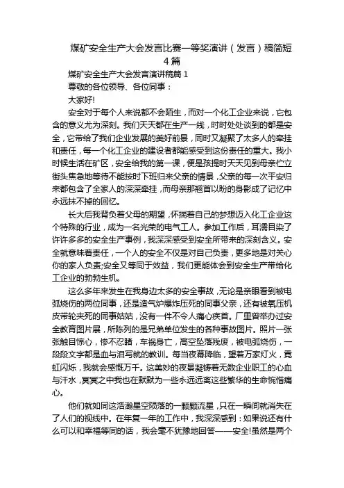 煤矿安全生产大会发言比赛一等奖演讲(发言)稿简短4篇