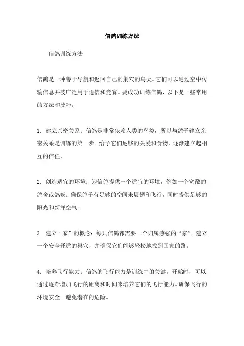 信鸽训练方法