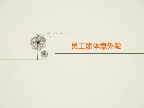 员工团体意外险培训课件.