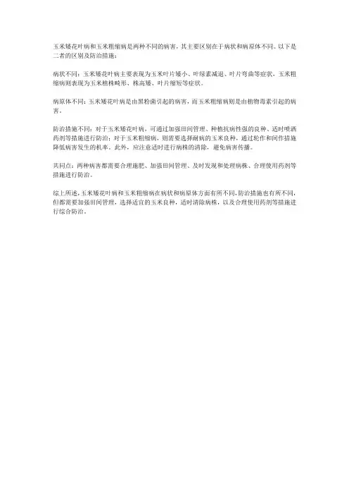玉米矮花叶病与玉米粗缩病的区别及防治措施