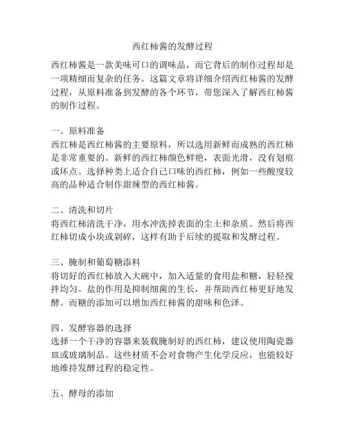 西红柿酱的发酵过程