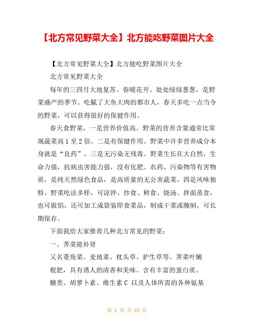 【北方常见野菜大全】北方能吃野菜图片大全