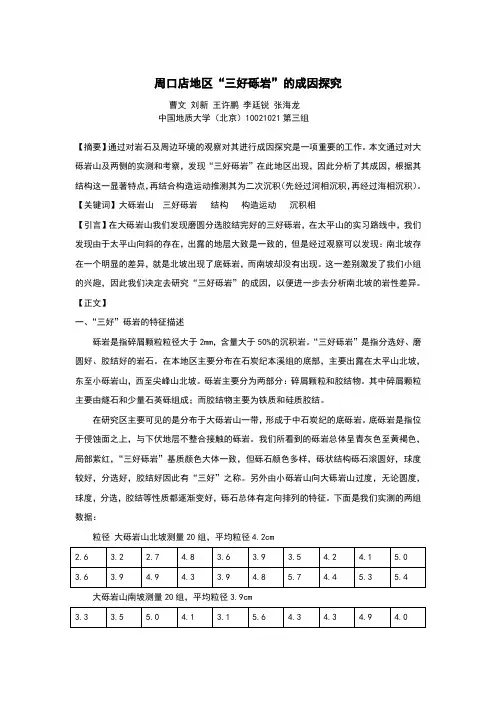 三好砾岩最终版