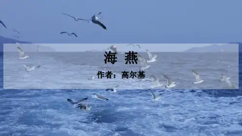 部编版九年级下册语文《海燕》说课教学PPT课件