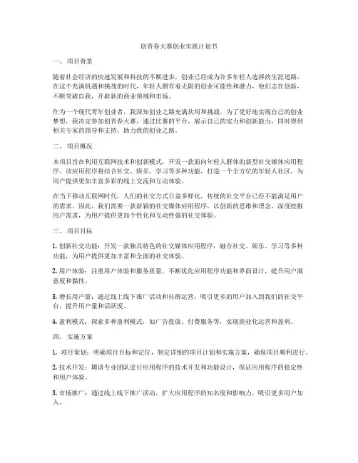 创青春大赛创业实践计划书