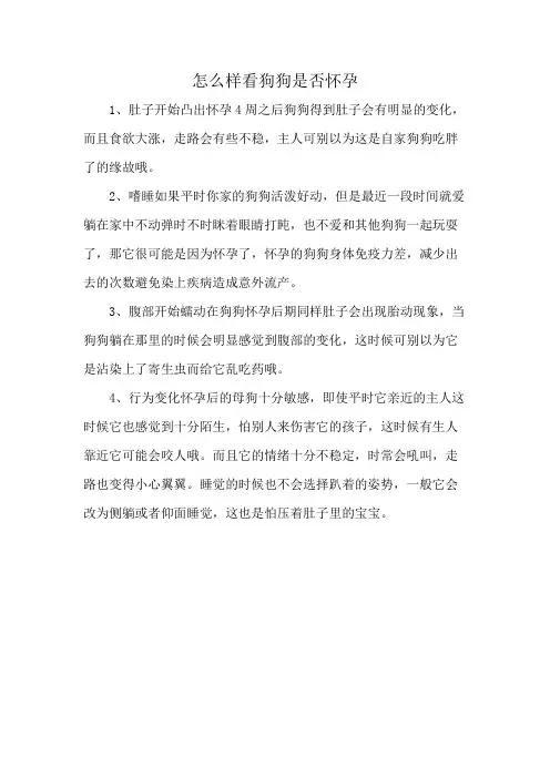 怎么样看狗狗是否怀孕