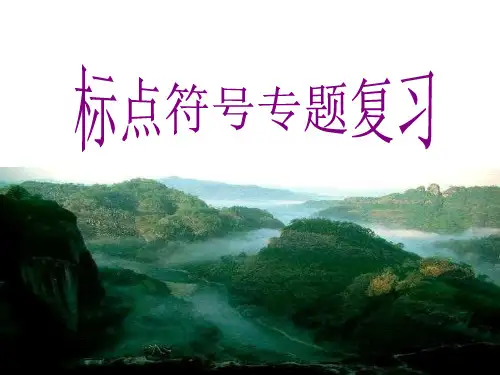 高考语文标点符号专题复习ppt课件