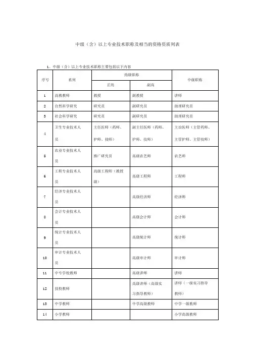 中级(含)以上专业技术职称及相当的资格列表
