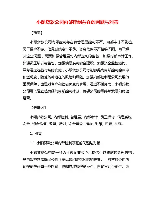 小额贷款公司内部控制存在的问题与对策