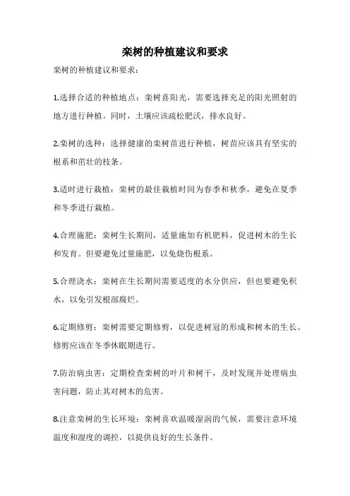 栾树的种植建议和要求