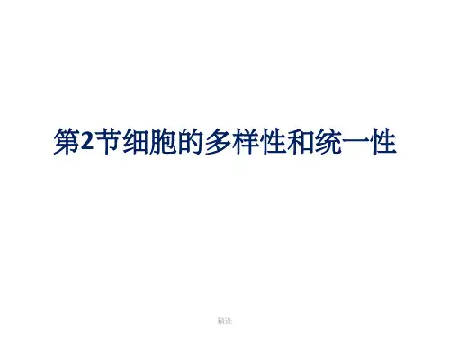显微镜的使用(低倍镜、高倍镜)PPT课件