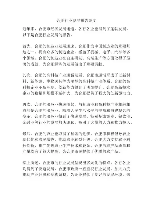 合肥行业发展报告范文