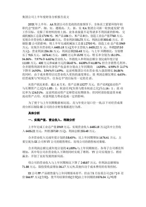 集团公司上半年度财务分析报告