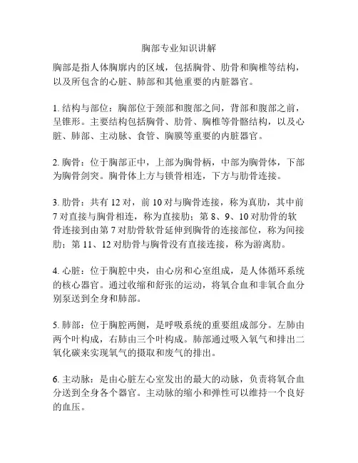 胸部专业知识讲解