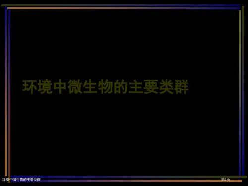 环境中微生物的主要类群