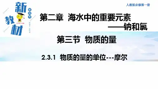 化学必修第一册第二章第三节 物质的量