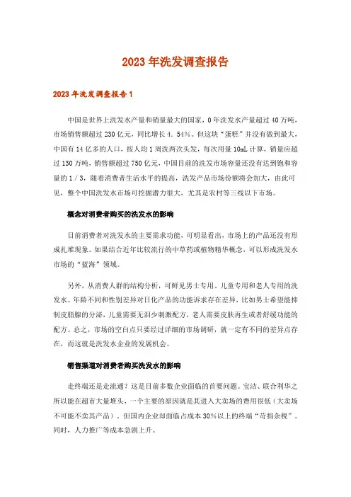 2023年洗发调查报告
